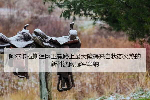 a-er-ka-la-si-wen-wang-wei-mian-lu-shang-zui-da-zhang-ai-lai-zi-zhuang-tai-huo-re-de-xin-ke-ao-wang-guan-jun-xin-na-2-496.jpg